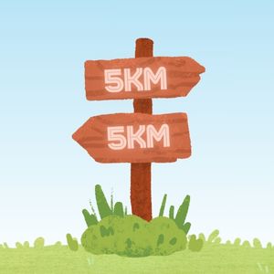 5km